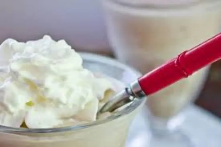 Wendy's Chocolate Frosty