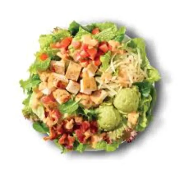 A fresh bowl of Wendy’s Apple Pecan Chicken Salad with grilled chicken, crisp lettuce, sweet apple bites, roasted pecans, dried cranberries, blue cheese crumbles, and pomegranate vinaigrette dressing.
